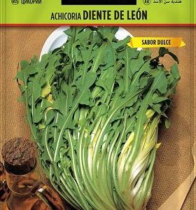 Achicoria común Diente de león - Cichorium intybus - Semillas - Batlle
