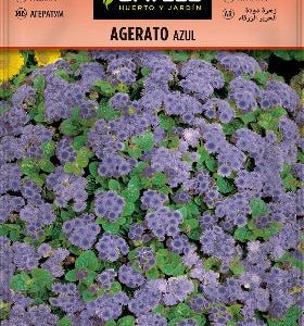 Agerato de Argentina - Ageratum conyzoides - Semillas - Batlle