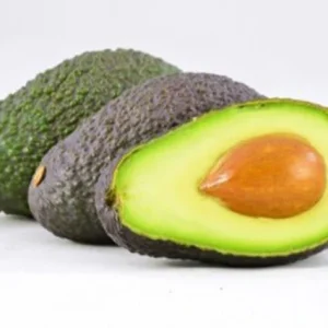 Aguacate Hass - Persea americana