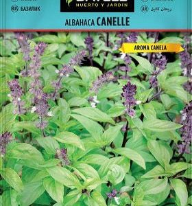 Albahaca canela - Ocimum basilicum 'Cinnamon' - Semillas - Batlle