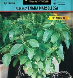 Albahaca Enana Marsellesa - Ocimum basilicum - Semillas - Batlle