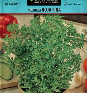 Albahaca - Ocimum basilicum - Semillas - Batlle