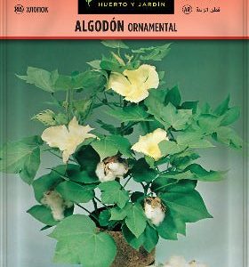 Algodón de levante - Gossypium herbaceum - Semillas - Batlle