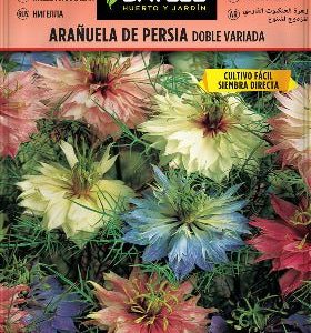Arañuela de Persia doble variada- Semillas - Batlle