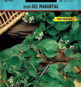 Berro de manantial - Nasturtium officinale - Semillas - Batlle