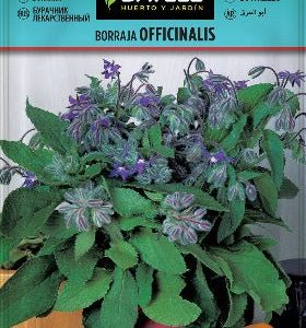 Borraja - Borago officinalis - Semillas - Batlle