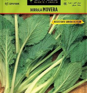 Borraja movera - Borago officinalis - Semillas - Batlle