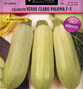 Calabacín verde claro Paloma F-1 - Semillas híbridas - Batlle