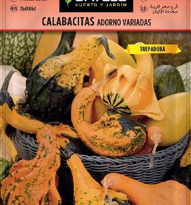 Calabaza adorno variadas - Semillas - Batlle