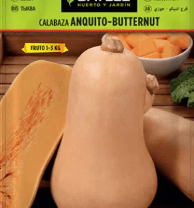 Calabaza gigante Anquito Butternut - Cucurbita maxima - Semillas - Batlle