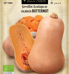 Calabaza gigante Anquito Butternut - Cucurbita maxima - Semillas - Batlle