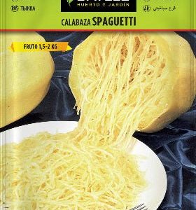 Calabaza gigante Spaguetti - Cucurbita maxima - Semillas - Batlle
