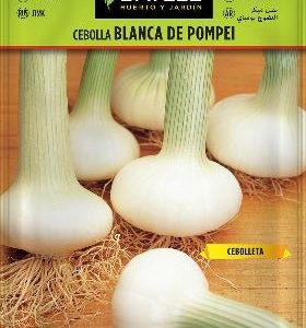 Cebolla blanca de Pompei - Allium cepa - Semillas - Batlle