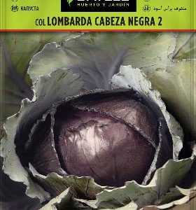 Col lombarda cabeza negra - Semillas - Batlle