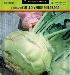 Colinabo rutabaga cuello verde - Semillas - Batlle