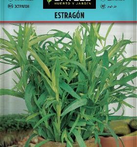 Estragón - Artemisia dracunculus - Semillas - Batlle