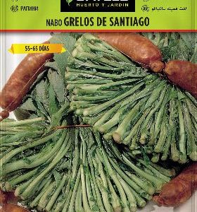 Grelos de Santiago - Brassica rappa - Semillas - Batlle