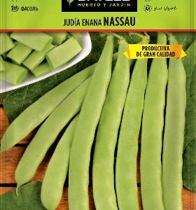 Judía enana Nassau - Phaseolus vulgaris - Semillas - Batlle