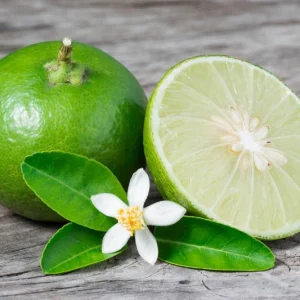 Limero - Citrus x aurantifolia