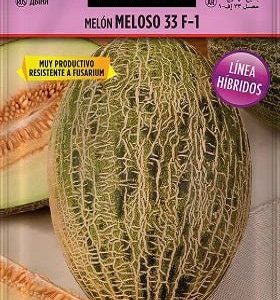 Melón Meloso 33 F-1 - Semillas híbridas - Batlle