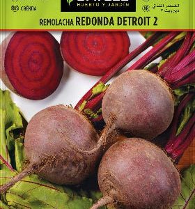 Remolacha mesa Detroit 2 - Beta vulgaris - Semillas - Batlle