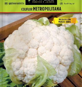Semillas Coliflor metropolitana - Brassica oleracea botrytis - Batlle