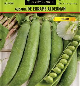 Semillas Guisante Alderman - Pisum sativum - Batlle