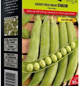 Semillas Guisante senador - Pisum sativum - Batlle