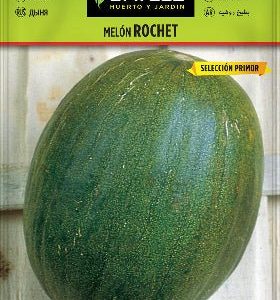 Semillas Melón Rochet selección primor - Cucumis melo - Batlle