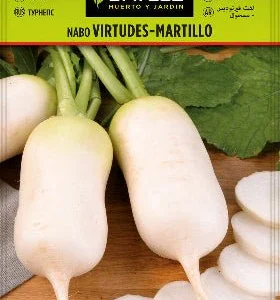 Semillas Nabo virtudes martillo muy precoz - Brassica rapa - Batllle